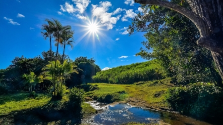 Clear Sky - sky, trees, nature, river