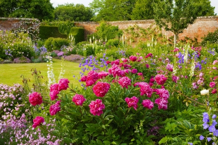 Beautiful spring garden - roses, alley, beautiful, greenery, grass, garden, spring