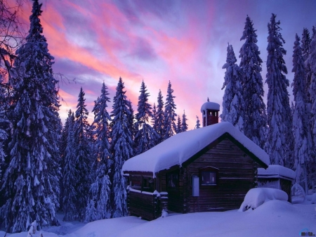 Winter Sunset at the Old Cottage - house, trees, winter, sunset, nature, spruce, snow