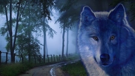 Foggy Night Wolf - wolf, collage, forest, woods, fog, path, mist