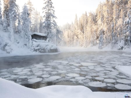 Cottage by the Pond