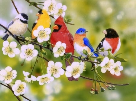 Songbirds on Flowering Branch - love, branches, animals, summer, spring, nature, love four seasons, paintings, beloved valentines, flowers, birds