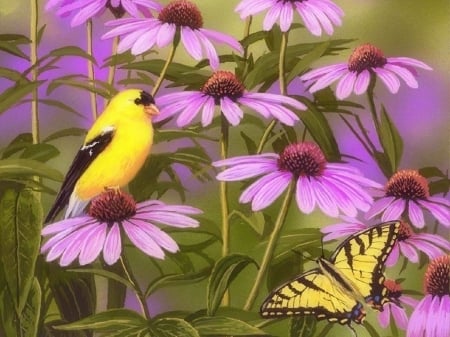 Finch & Butterfly Among Flowers - birds, summer, paintings, spring, flowers, butterfly designs, nature, beloved valentines, butterfly, love four seasons, animals