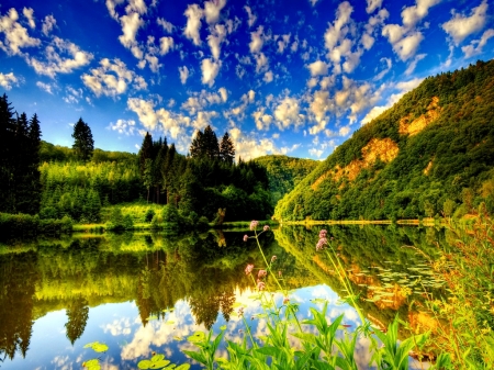 Summer Lake - clouds, trees, nature, summer, lake, forest, mountains, reflection