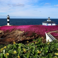 Beauty Galicia, Spain