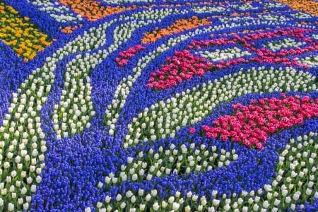 Japanese Flower Park - hyacinths, blossoms, tulops, spring, colors