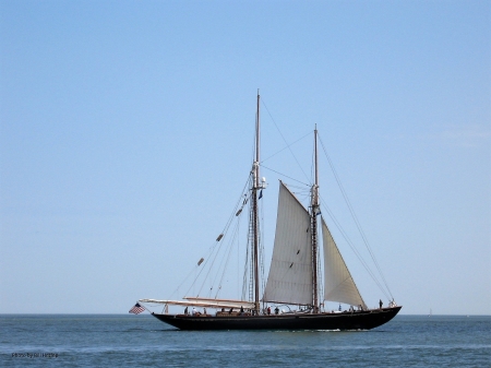 Pilot Schooner Virginia - Sailing Vessel, Schooner, Virginia, Pilot Schooner