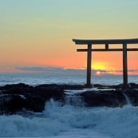 Torii at Sunset, Japan