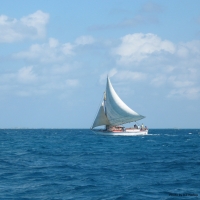 Haitian Trading Sloop under sail