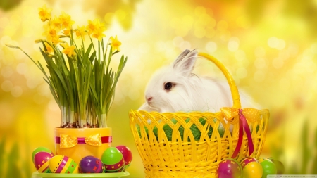 Happy Easter! - basket, bunny, rabbit, yellow, card, animal, green, egg, flower