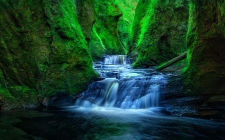 Finnich Gorge (AKA Devil's Glen), Scotland