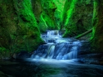 Finnich Gorge (AKA Devil's Glen), Scotland