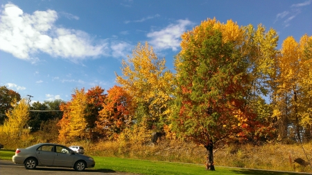 Autumn in Idaho - trees, nature, seasons, autumn