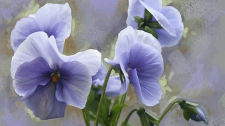 Beautiful Flowers - nature, flowers, pansies, viola