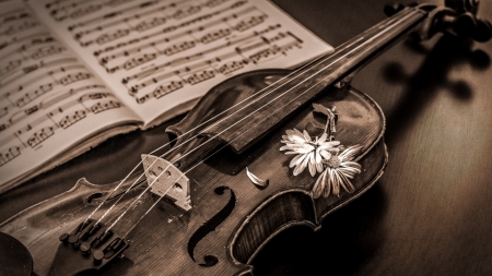 Still Life - music, violin, still life, old