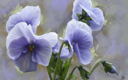 Pansies