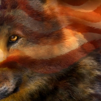 Freedom Wolf