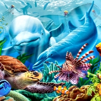 Ocean Life F1