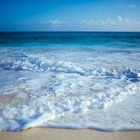 Foamy Ocean Waves