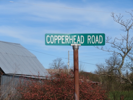 Copperhead Road - music, comedy, outdoors, photography