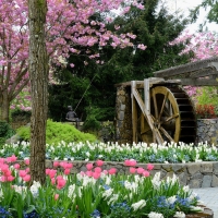 Butchart Gardens, Canada