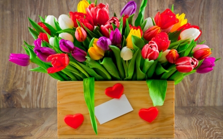 Basket of colorfull tulips â™¥ - love, gift first, fresh, tulips, colorful, bouquet, wood, hearts, romantic, flowers is, tulip