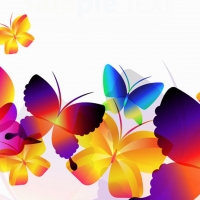 Butterfly Vector Bright