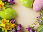 Eggs colorful and flowers