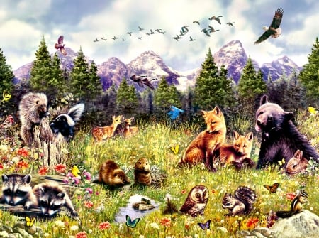 Outdoors F - birds, avian, artwork, fox, beautiful, canine, foxes, raccoon, wide screen, bear, animal, painting, art, wildlife, red fox