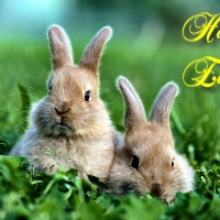 Happy Easter Bunnies