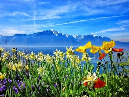 Bright Lakeshore at Summer Lake - lake, sunshine, summer, shore, mountains, nature, glow, bright, blue, clouds, flowers