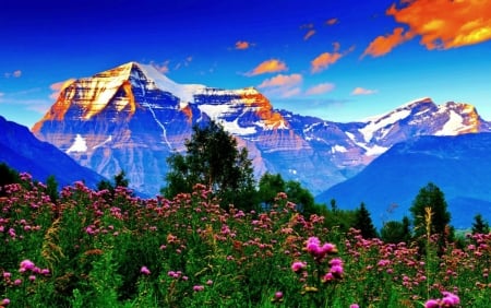 Wonderful Spring Meadow - nature, clouds, meadow, flowers, mountains, spring