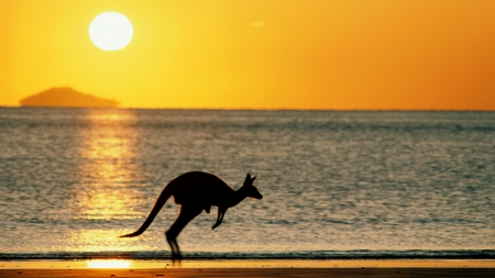 Australia01 - fun, sunset, nature, beach, ocean, cool