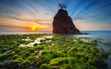 sunset on a beach - cool, fun, beach, sunset, ocean, nature