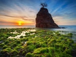 sunset on a beach