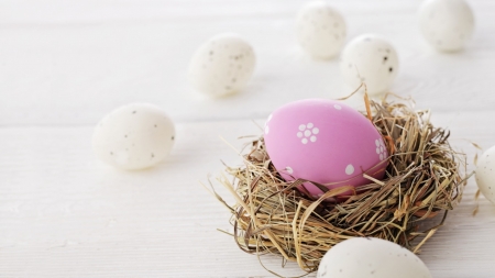 Easter Eggs - eggs, decorative, nest, Easter