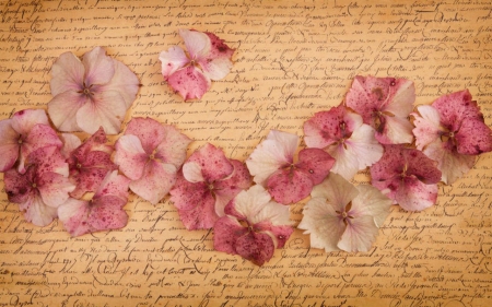 Petals - flowers, paper, petals, pink