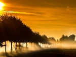 Bright Sunshine Over Foggy Fields