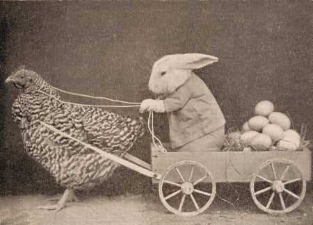 Happy Easter! - funny, black, egg, bw, chicken, easter, white, rabbit, vintage, bunny