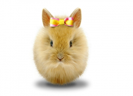 Happy Easter! - yellow, bunny, easter, fluffy, funny, cute, egg, bow, card