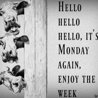 ENJOY THE WEEK