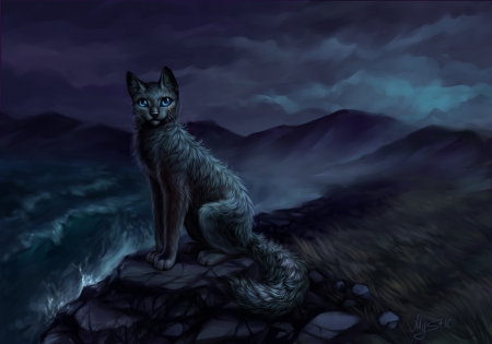 Night cat - Cats & Animals Background Wallpapers on Desktop Nexus ...