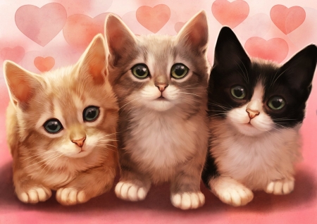 Kittens - cat, heart, lhuin, valentine, pisica, fantasy, kitten, trio, luminos, pink, cute