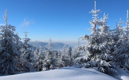 Winter - snow, fir-trees, winter, mountains