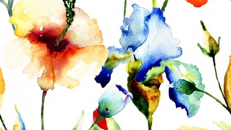 Watercolor Iris - watercolor, blooms, paint, summer, iris, spring, floral, art