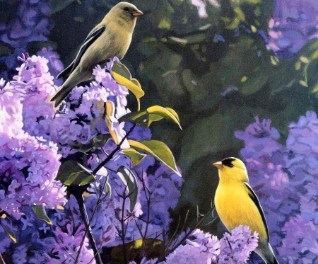 Birds on Lilacs - songbirds, blossoms, spring, painting