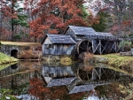 Forgotten