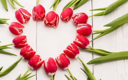 Tulips ♥ - heart, romantic, wood, red tulips, spring, love, tulip, flowers, tulips, red