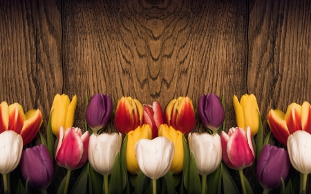 Spring flowers - red, flower, tulips, spring, love, wood, heart, romantic, colorful