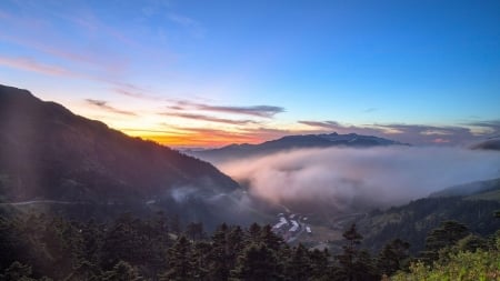 Foggy Valley in the Sunset - trees, sunset, nature, fog, forest, valley, mountain